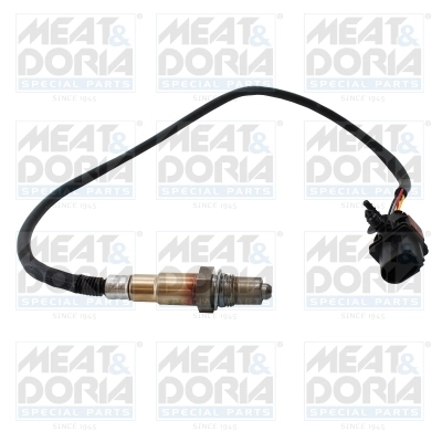 Oxygen Sensor